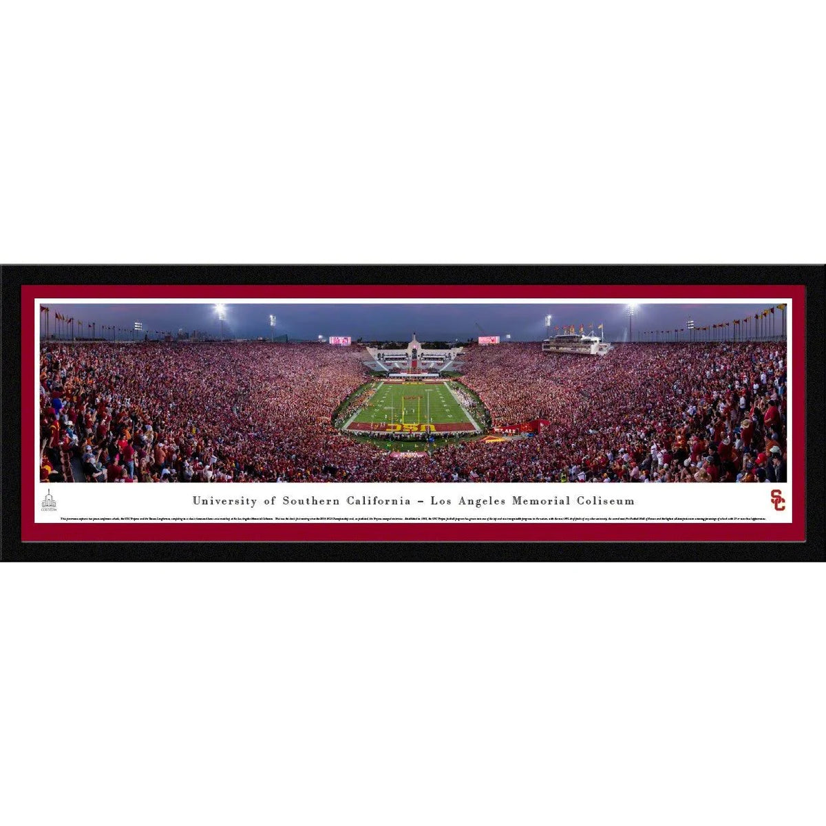Standard Frame Football Z546721