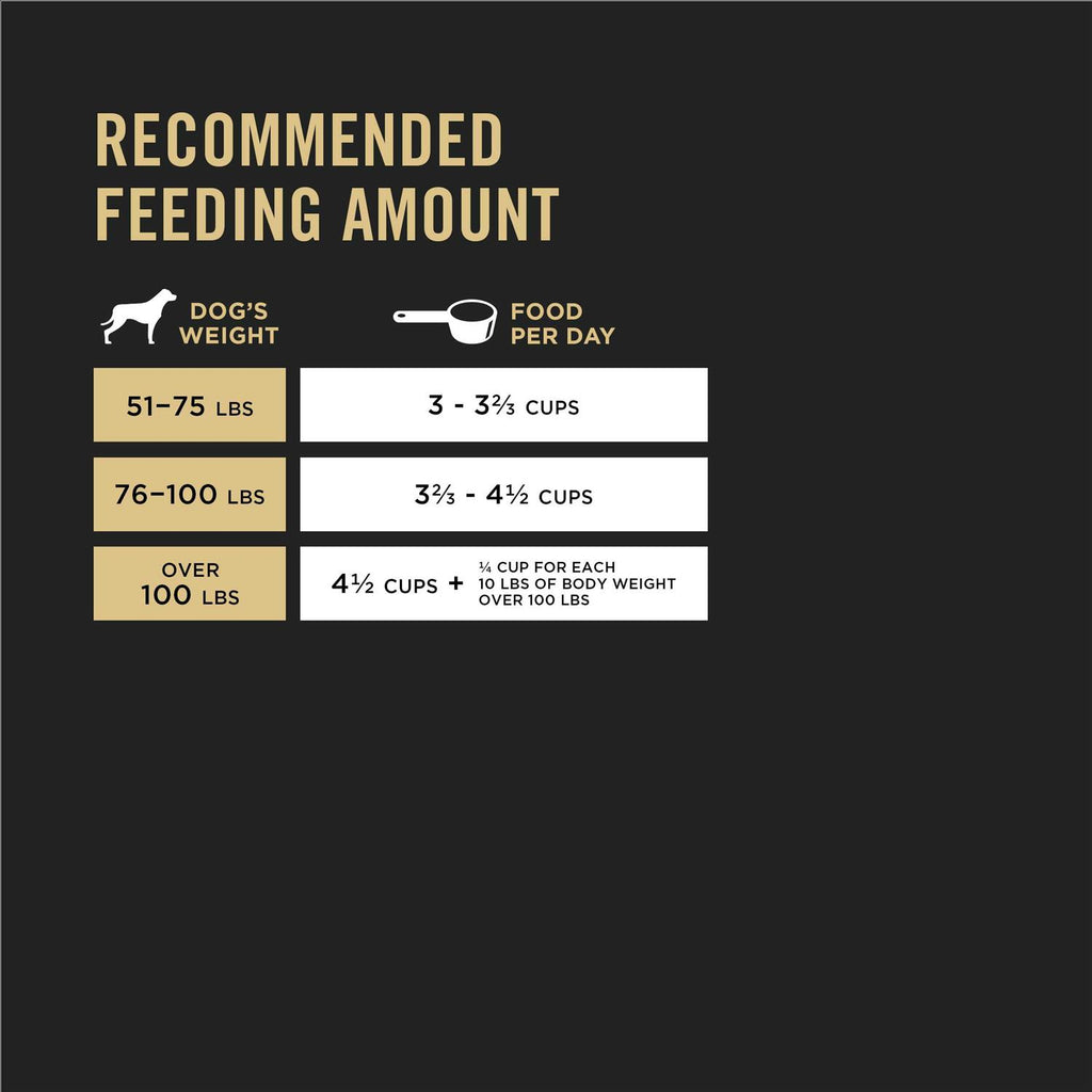 Dry Dog Food I572687