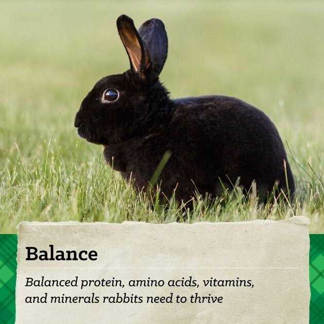 15% Premium Rabbit Feed S72632
