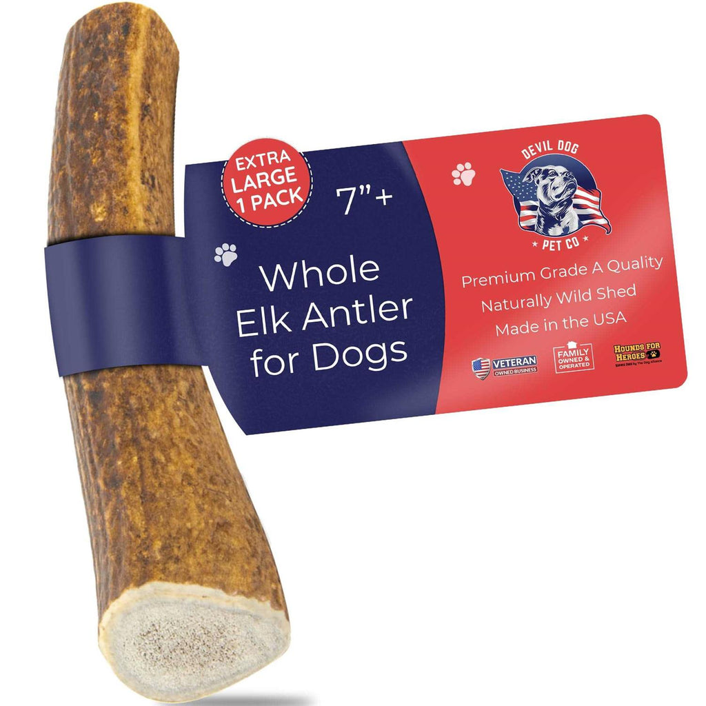 Elk Antler Dog Chew Y2694