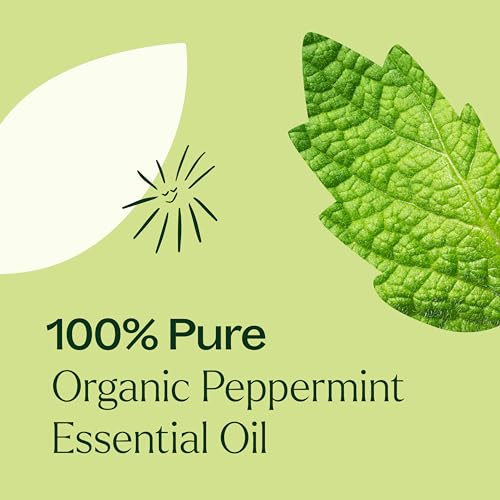 Organic Frankincense Serrata Essential Oil 30 mL (1 oz) W407