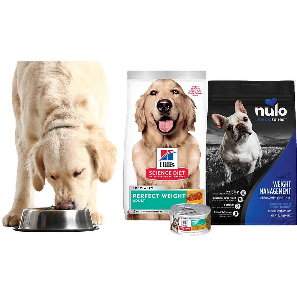 Salmon Sensitive Skin & Stomach Dry Dog Food B722391