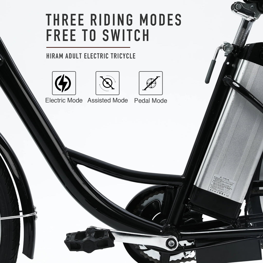 24 Inch 250w 36V Black 3 Wheel Electric Bike F2983