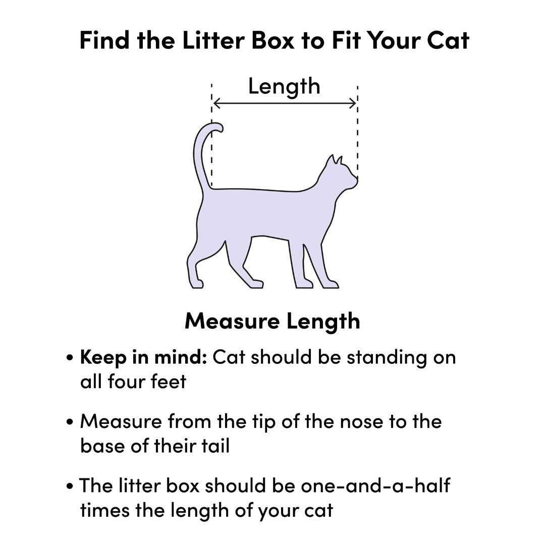 Cat Litter Pan J9158