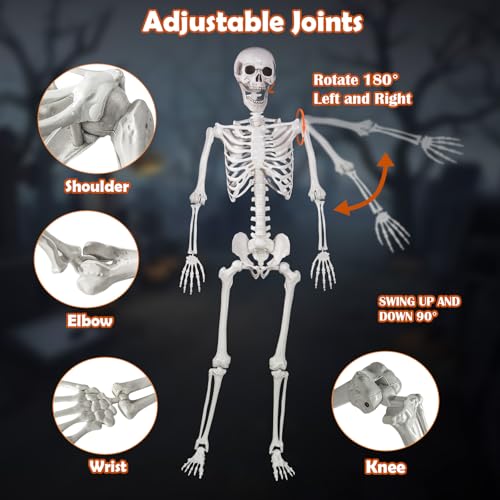 Life Size Skeleton with Movable Joints T53772