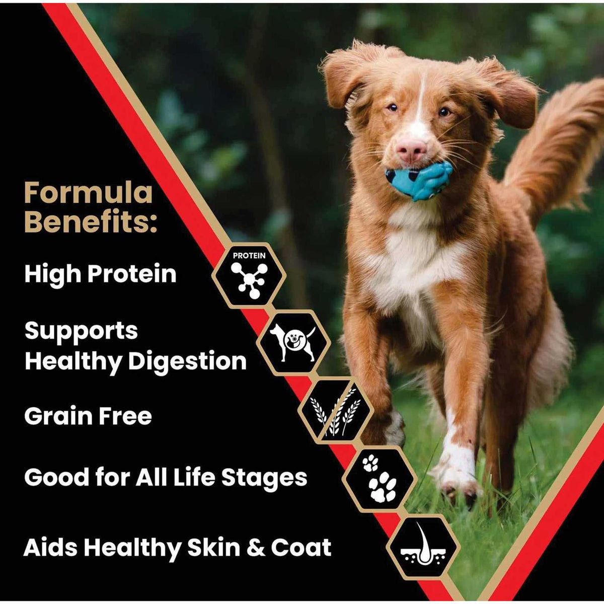 Grain Free Dog & Puppy Food L922121