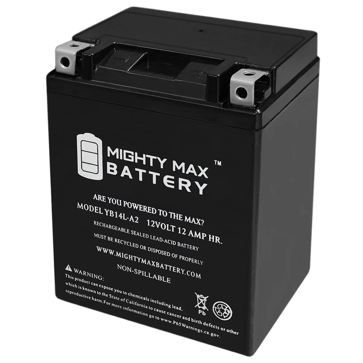 12V 12Ah Replacement Battery P109