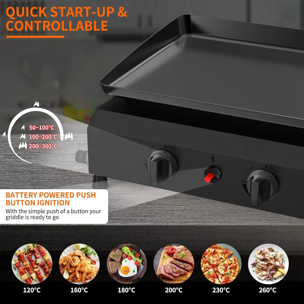 4-Burner Propane Gas Grill R22246