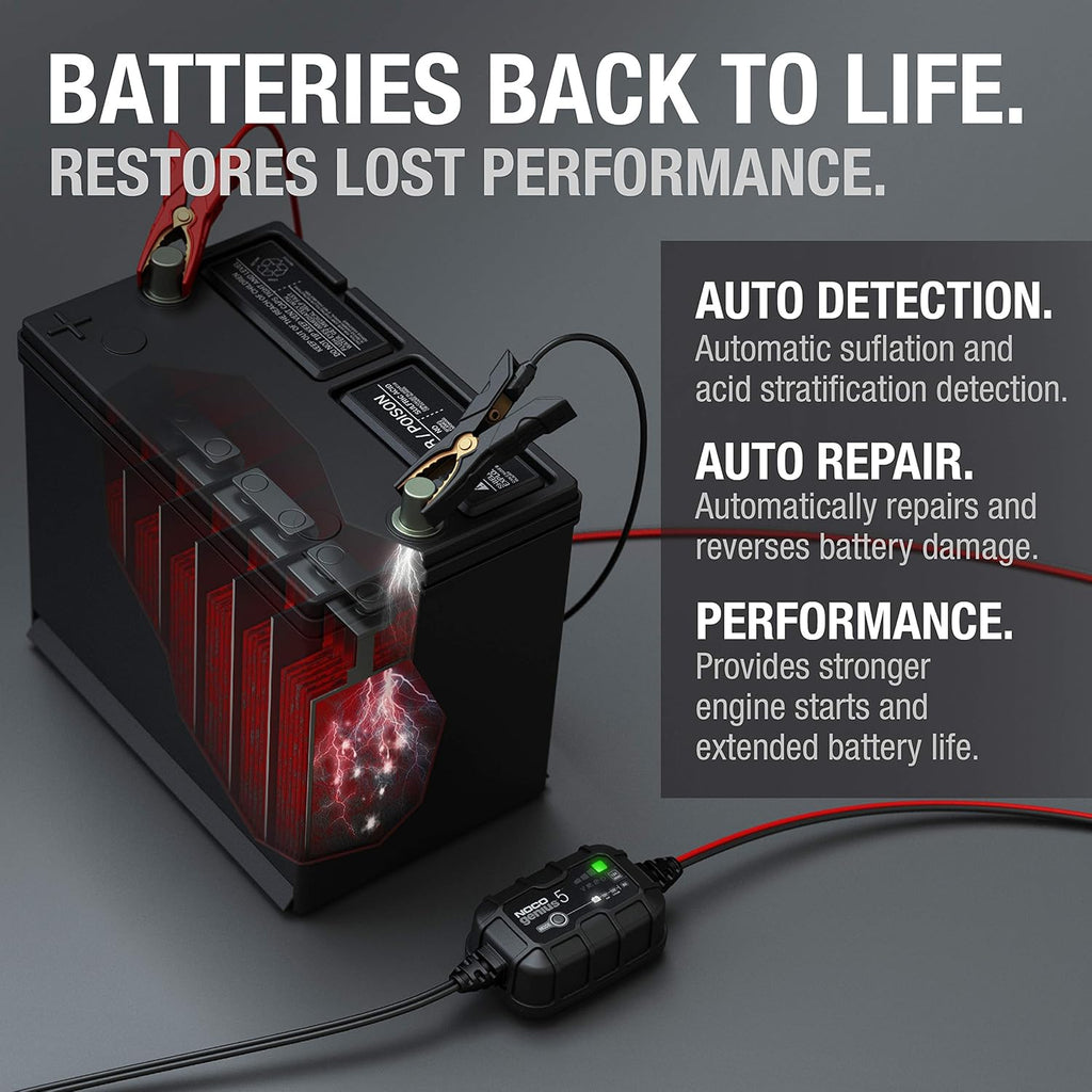 5-Amp Smart Battery Charger and Maintainer Pack of 2 L197787