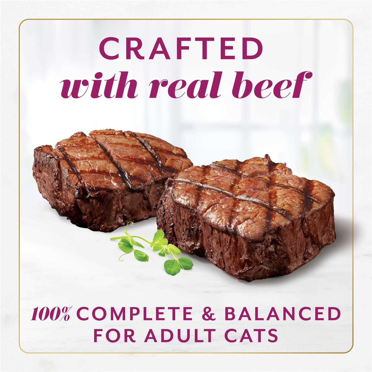 Mousse Pate Savory Gravy Wet Cat Food J902