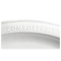 Compostable Sugarcane Plate 10" Natural White 50 pack C211062