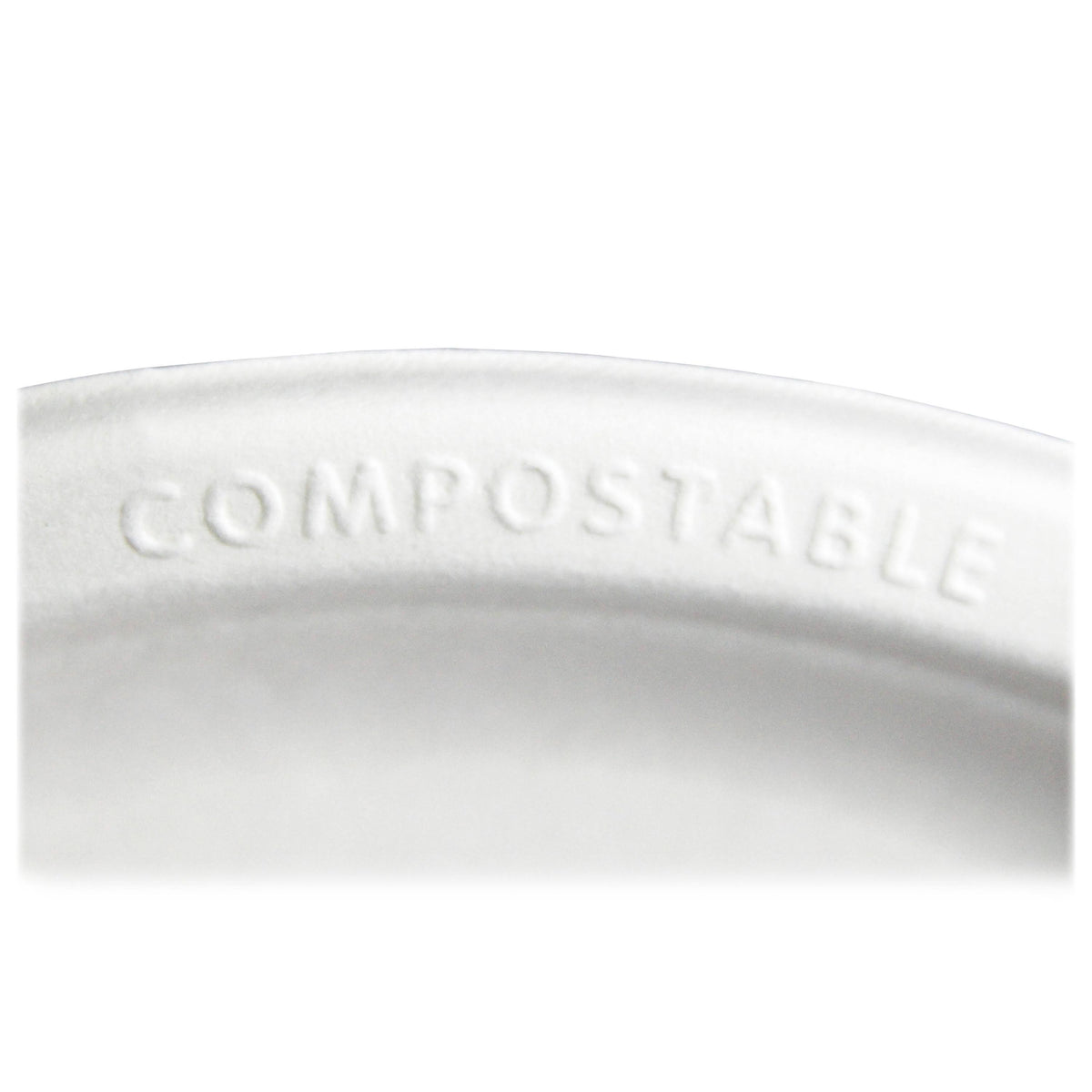 Compostable Sugarcane Plate 10" Natural White 50 pack C211062