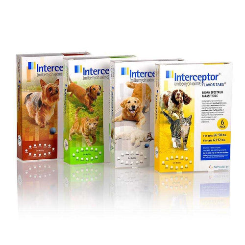 12 Month Supply Pet Supplies S4467