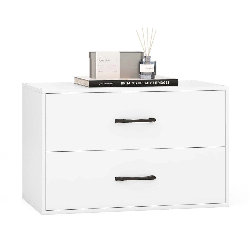 2 Drawer Stackable Storage Organizer U50004