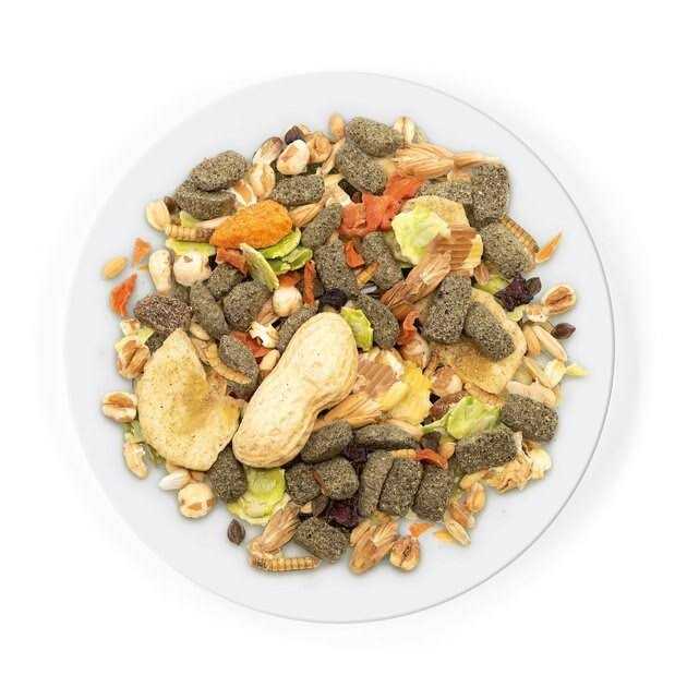 Rat Food M787