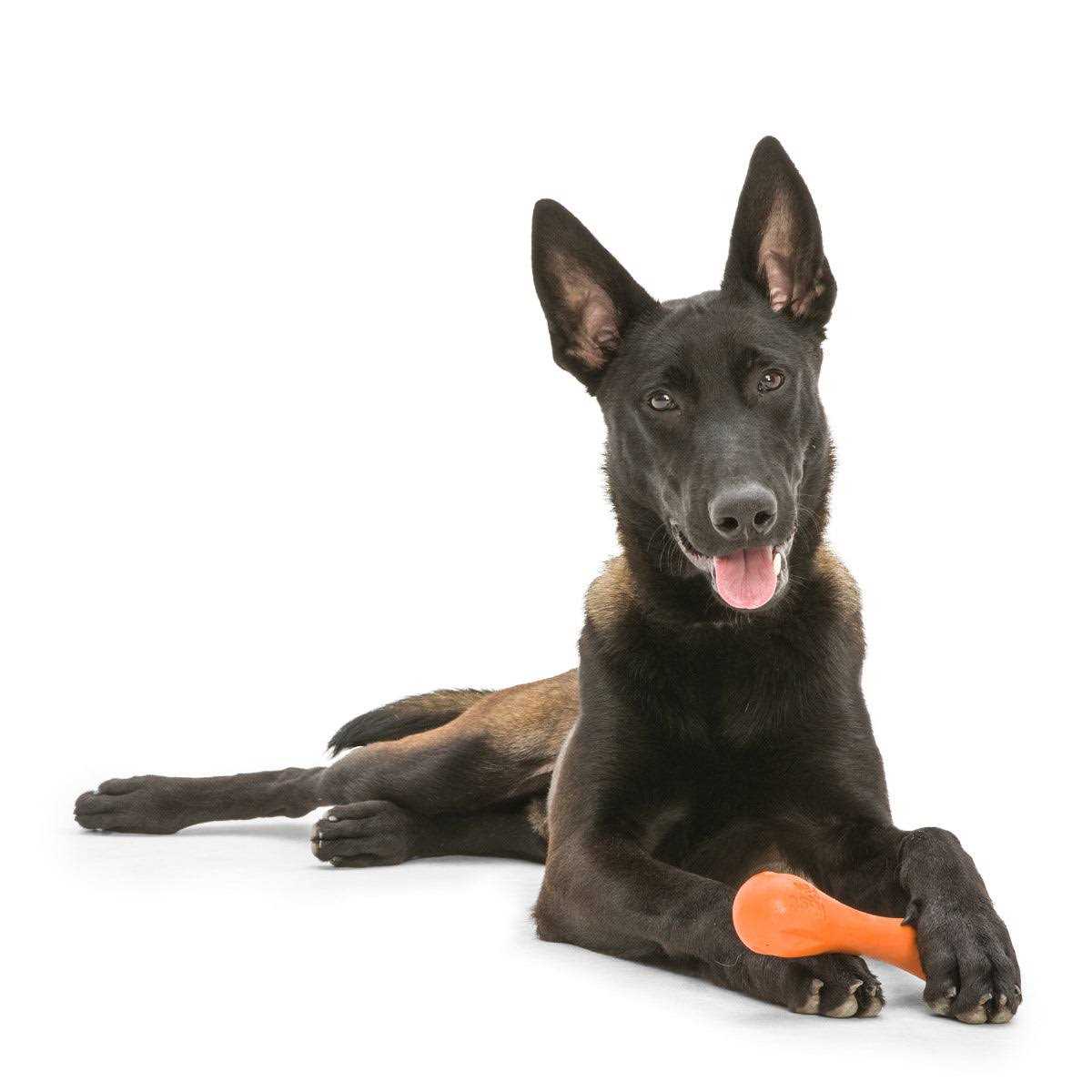 Dog Toy E309927