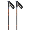 Arctic Poles 130 cm G1780