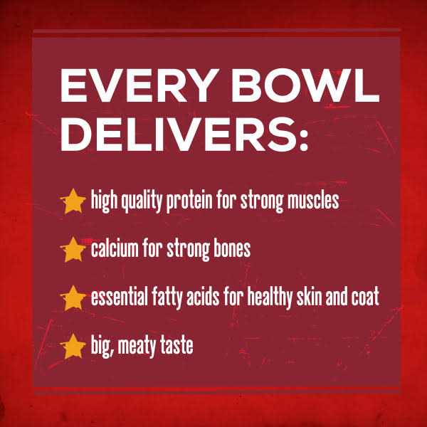 Dry Dog Food O82996
