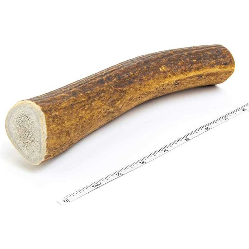 Elk Antler Dog Chew Y2694
