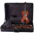Violin and Viola Case D395191