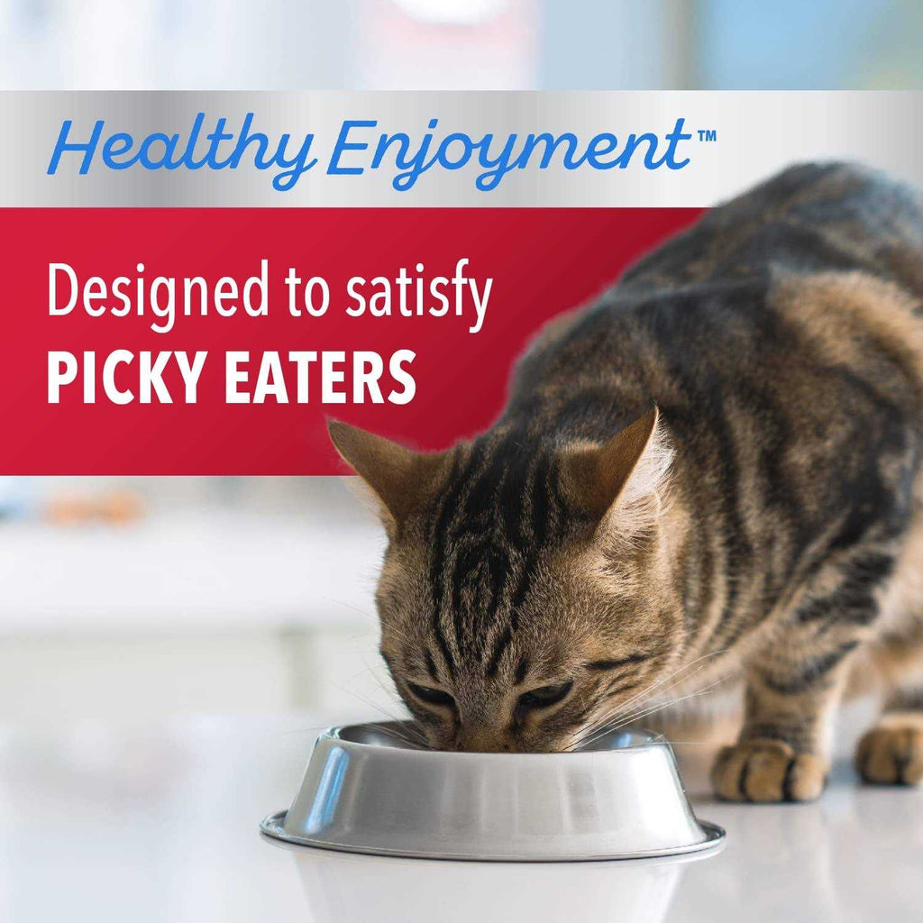 Chicken & Beef Dry Cat Food X512