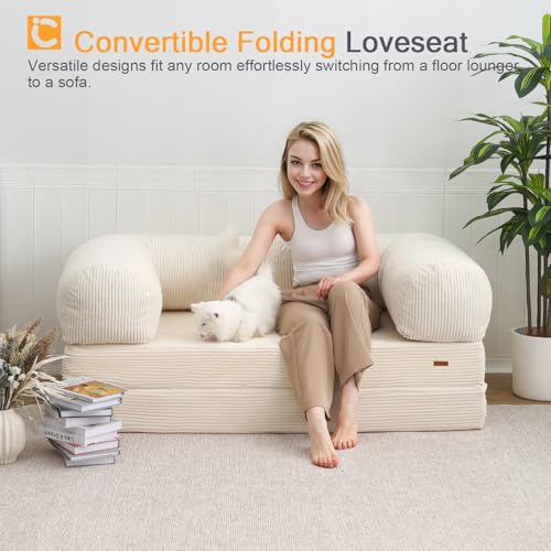Beige Queen Folding Sofa Bed D9056