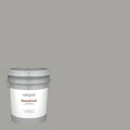 Exterior Paint 5-Gallon N432163
