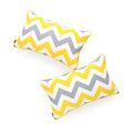 Water Resistant Canvas Lumbar Pillow Cover Set of 2 N915