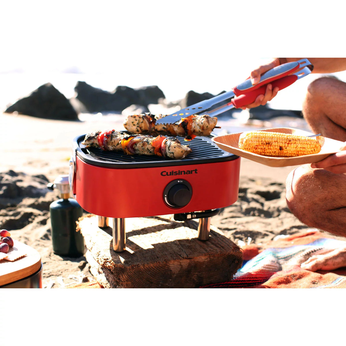 Portable Propane Gas Grill U6957