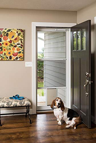 White 32-in x 81-in Storm Door Q4145