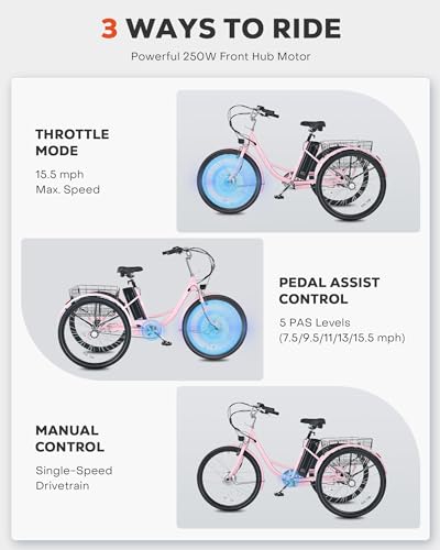 Electric Tricycle 250W 468Wh Removable Battery 3 Wheel 330 lb. 24 in O9365