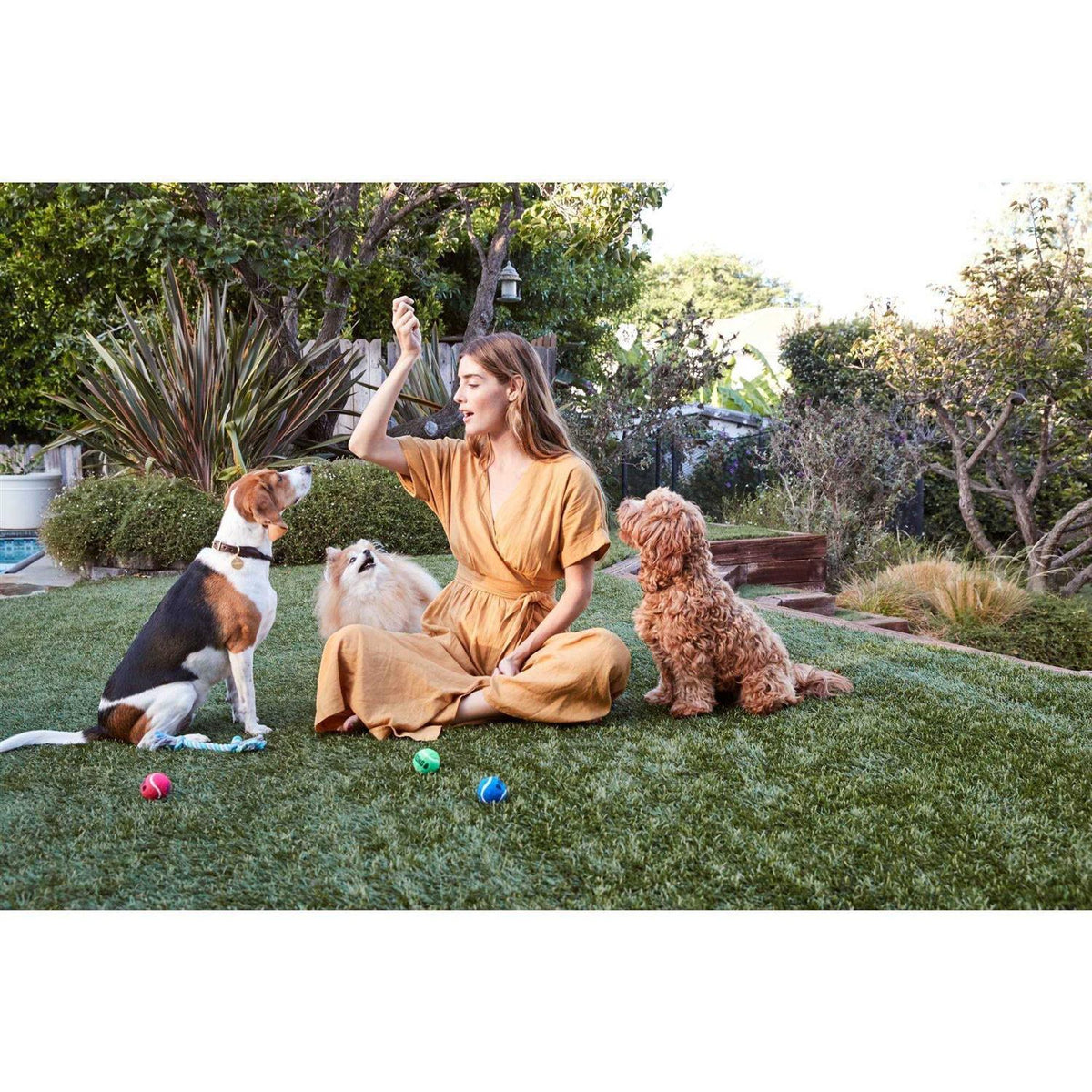 Organic Chicken Jerky Dog Treats B669