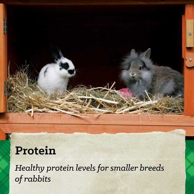 15% Premium Rabbit Feed S72632