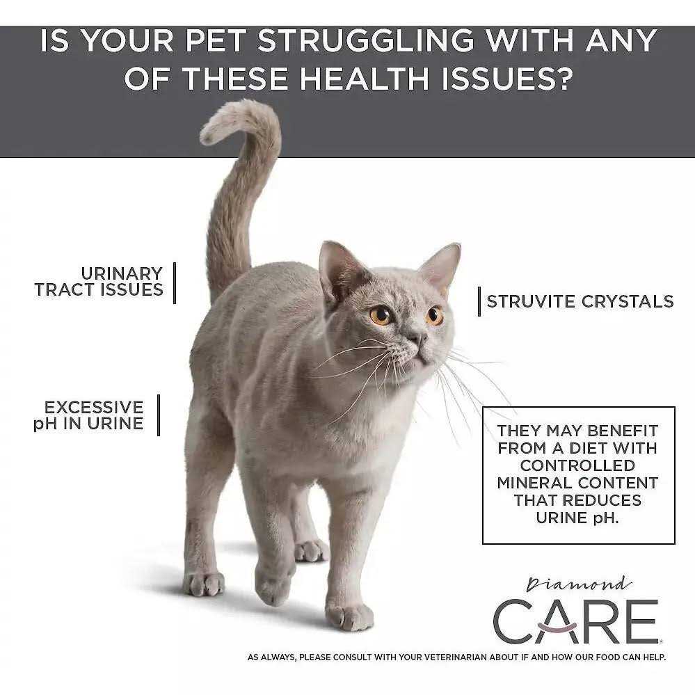 Adult Dry Cat Food B1197