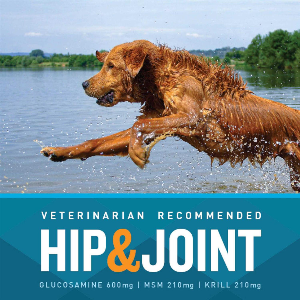 Hip and Joint X6010