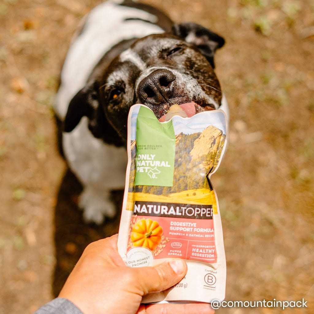Natural Pet Digestive Support Dog Food Topper V53074