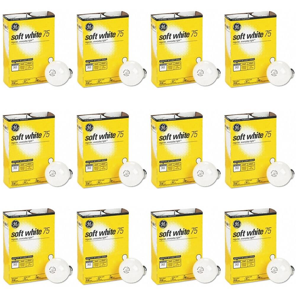 75-Watt A19 Soft White 4 Bulbs per Pack (12 Pack) H898057