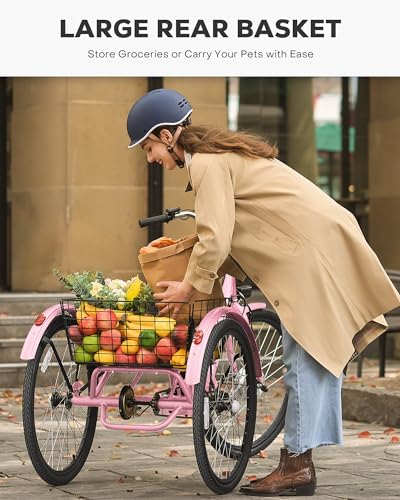 Electric Tricycle 250W 468Wh Removable Battery 3 Wheel 330 lb. 24 in O9365