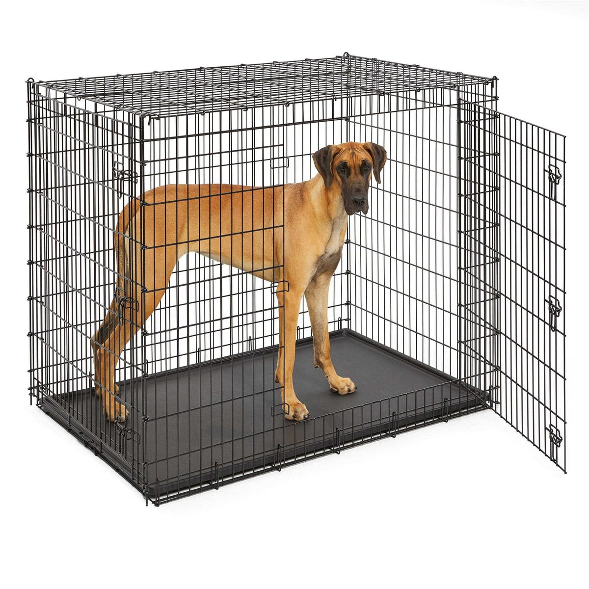 Double Door Dog Crate A69829