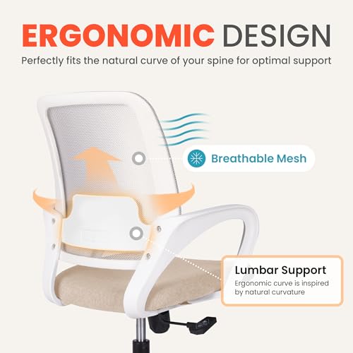 Black Ergonomic Mesh Office Chair with Lumbar Support S297184