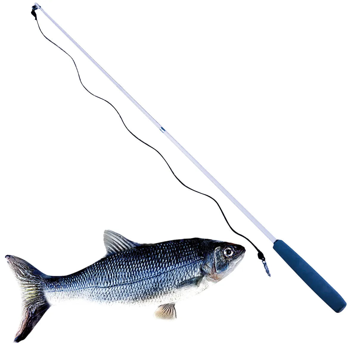 Deluxe Fish L7060