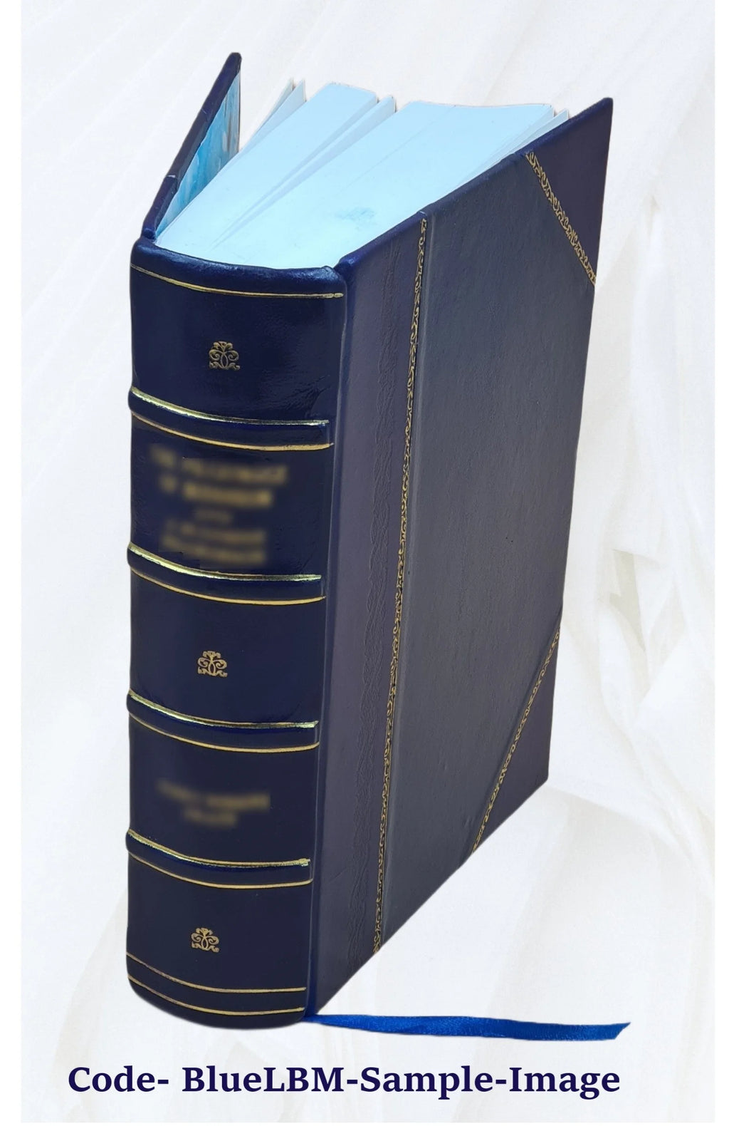 Leather Bound Book B385548