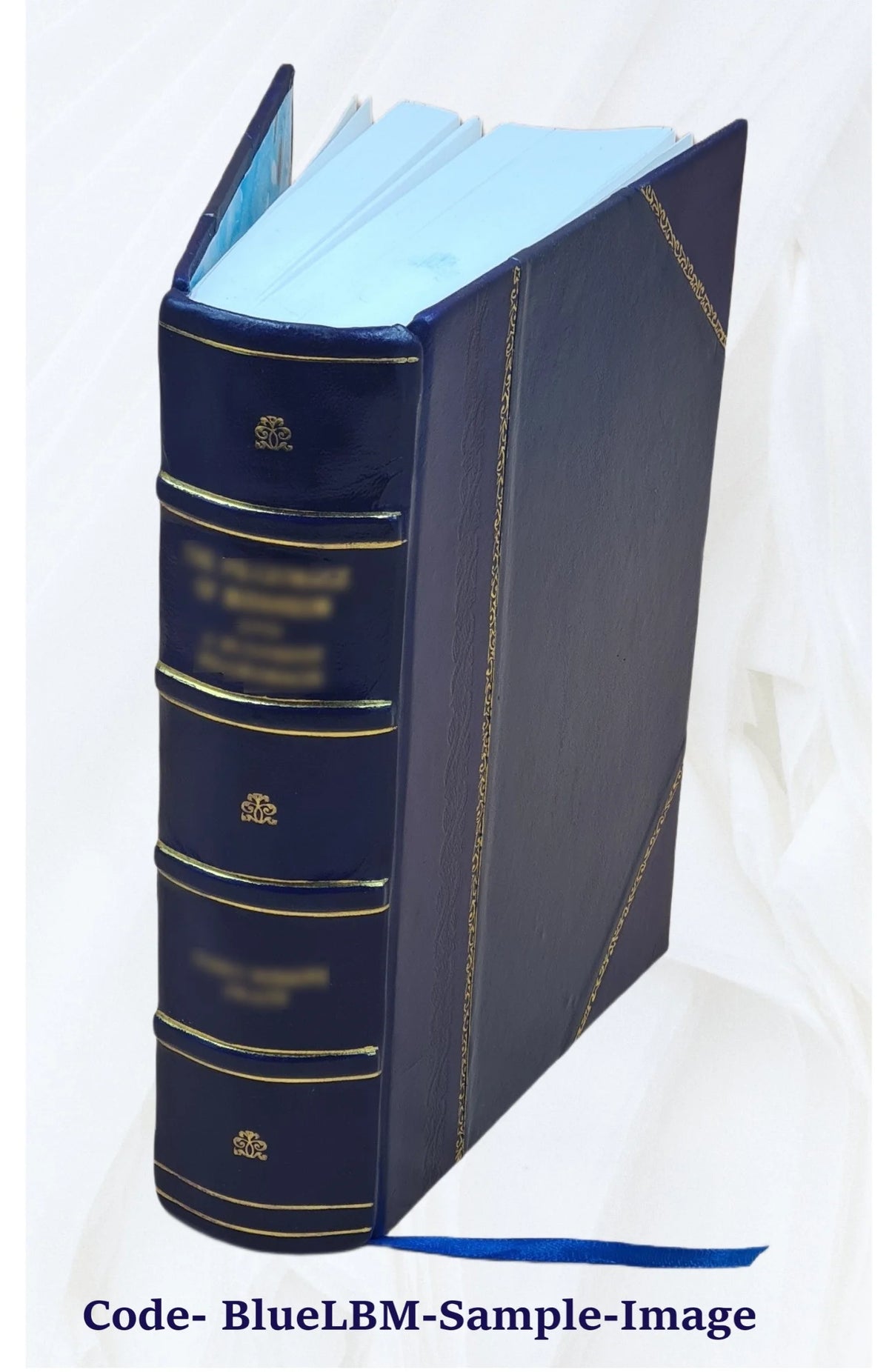 Leather Bound Book B385548