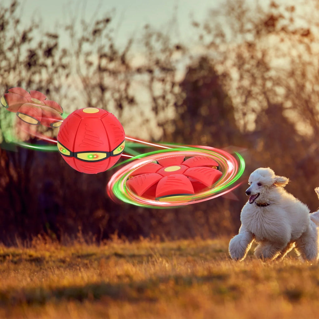 4 Pack LED Flying Saucer Ball Dog Toy H39111