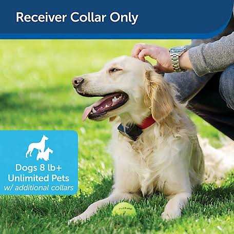 Dog Receiver Collar B984767