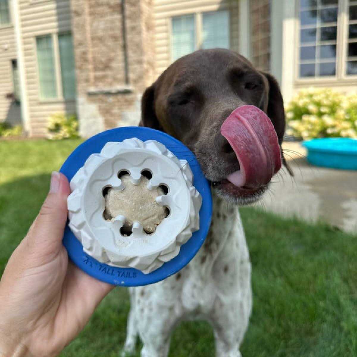 Natural Rubber Freezable Dog Toy K2229