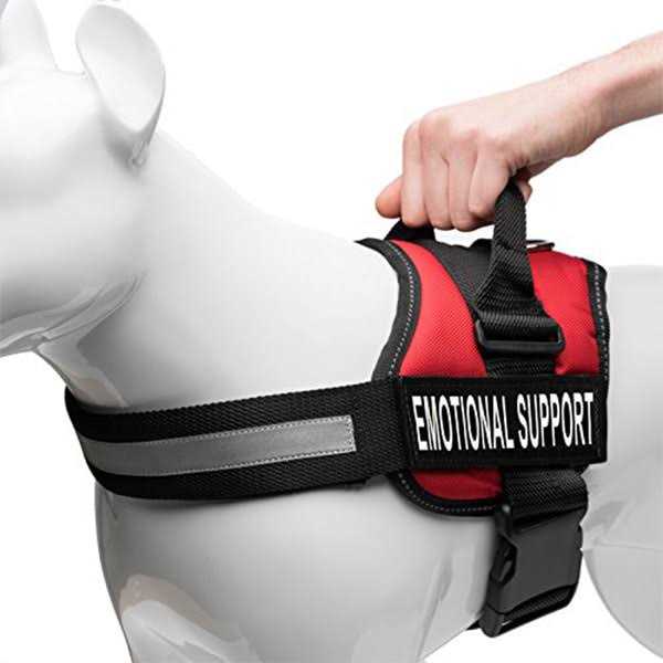 Reflective Dog Vest Harness G121