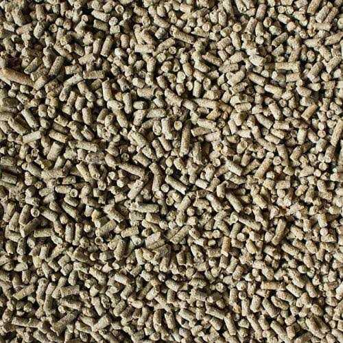 Hedgehog Food R5768