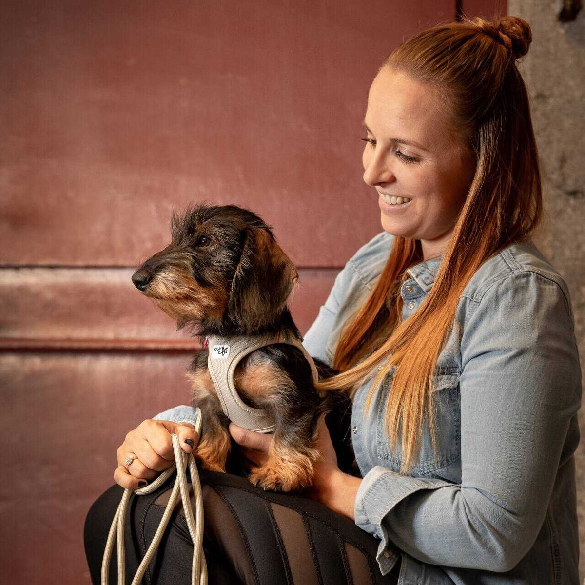Air-Mesh Dog Harness T803