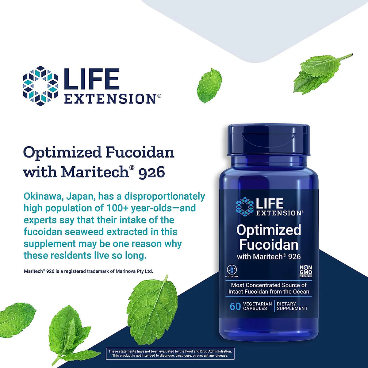 Fucoidan Supplement - 60 Capsules Y3981